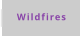 Wildfires