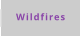 Wildfires